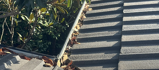 Why Regular Gutter Cleaning Matters for Homes & Businesses