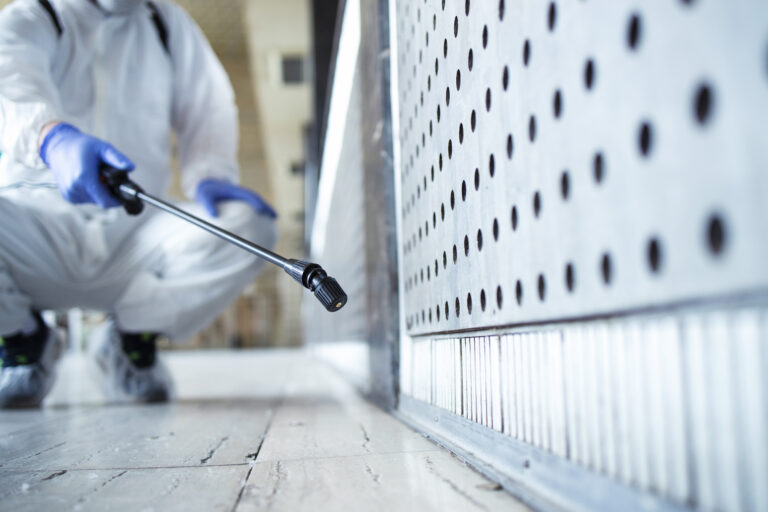 Fast & Effective Pest Management in Melbourne: Protecting Your Home & Business