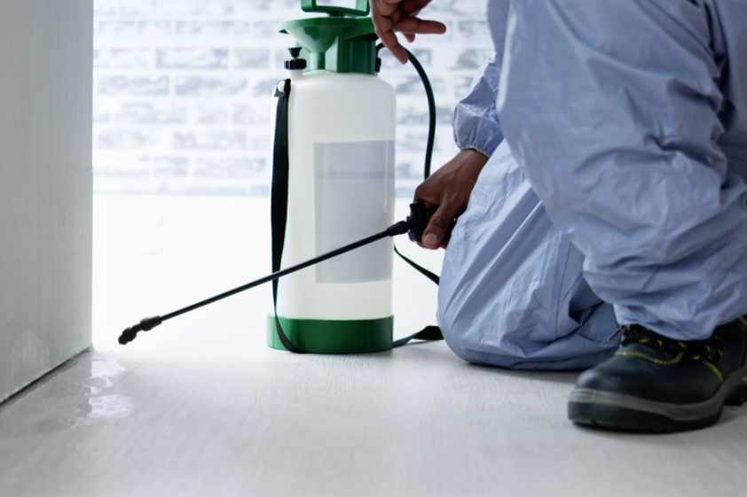 Pest control