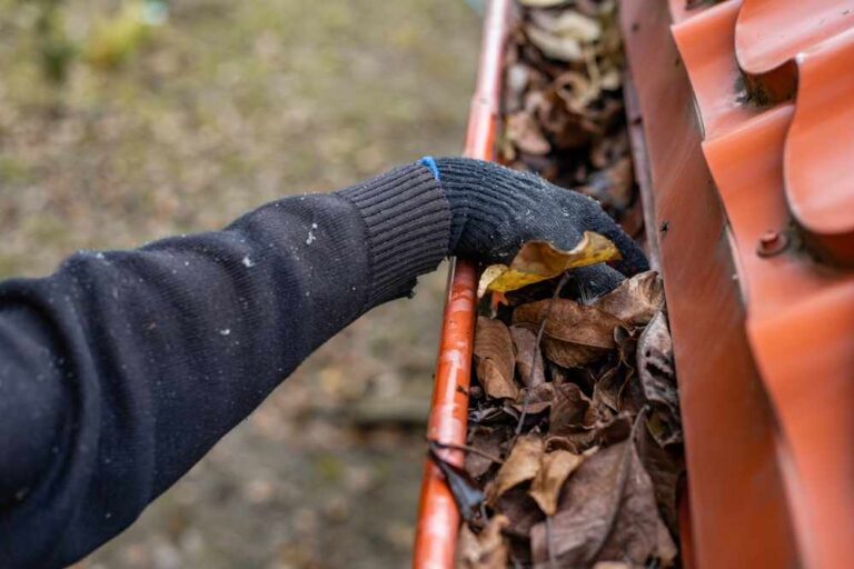 gutter cleaner in australia