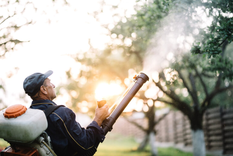 mosquito pest treatment